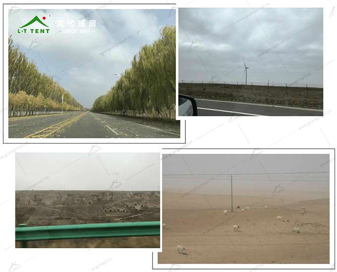 7751568942031625.jpg 6.jpg