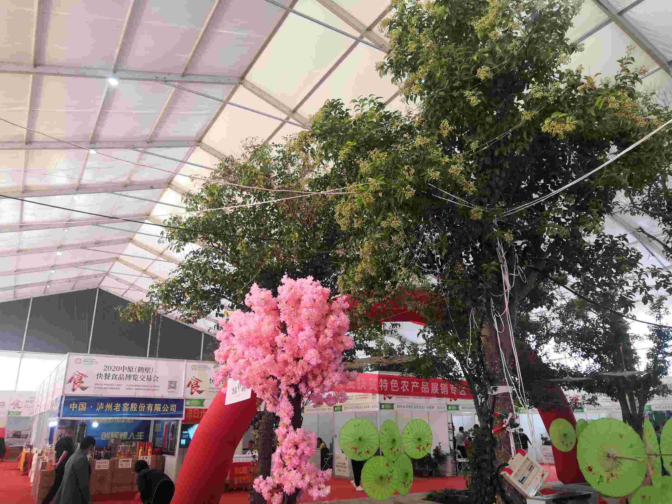 2020年中原（鶴壁）快餐食品博覽交易會 (15).jpg
